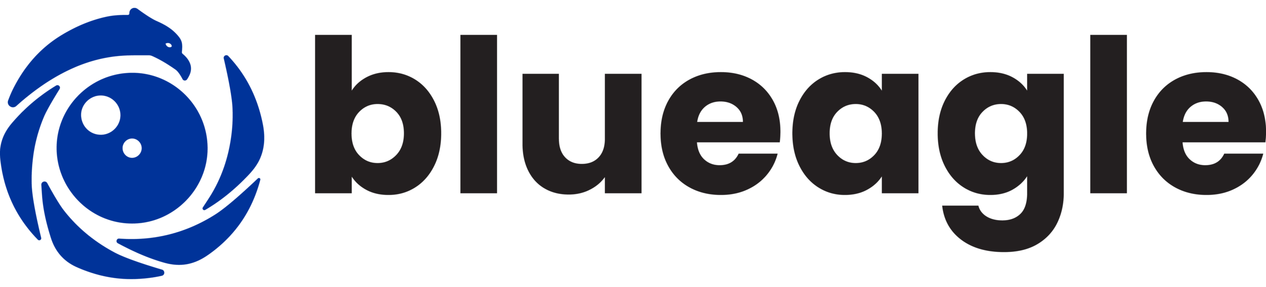 Blue Eagle Solutions