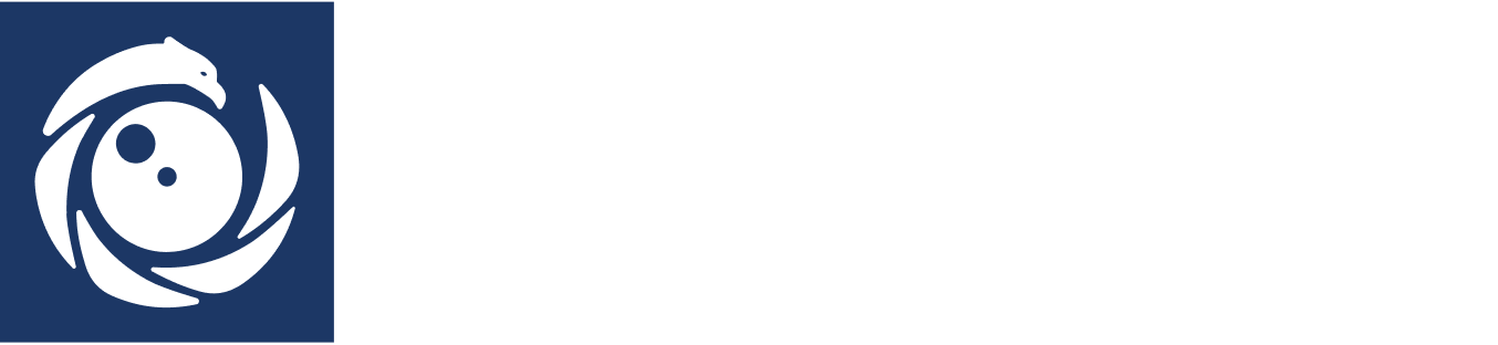 Blue Eagle Solutions